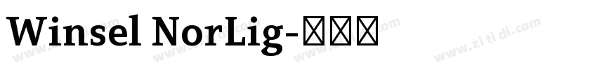 Winsel NorLig字体转换